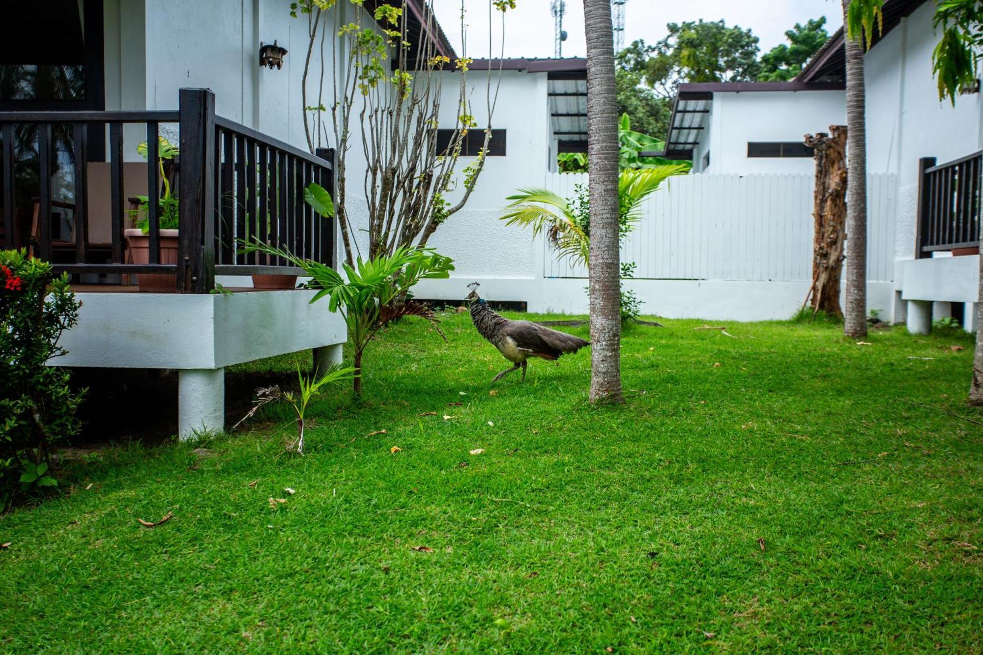 Ban Raya Resort And Spa Ko Racha Yai Exterior foto